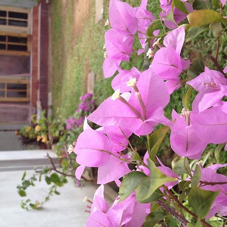 Manik Home Stay Kudapaduwa Exteriör bild